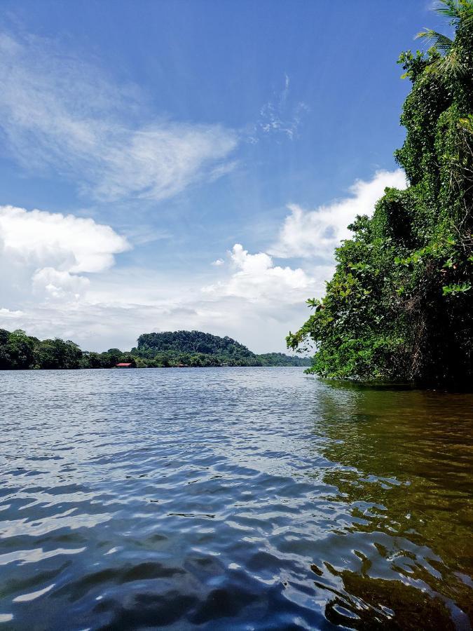 Casa Thirema Tortuguero Hotel Buitenkant foto