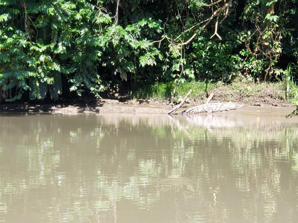 Casa Thirema Tortuguero Hotel Buitenkant foto