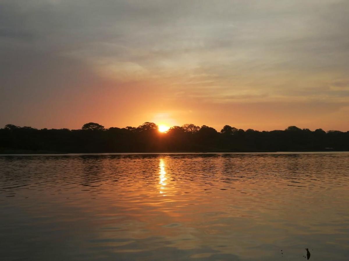 Casa Thirema Tortuguero Hotel Buitenkant foto